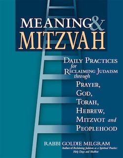 Couverture_Meaning & Mitzvah