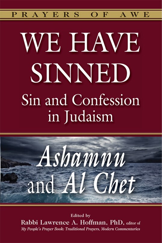 Front cover_We Have Sinned