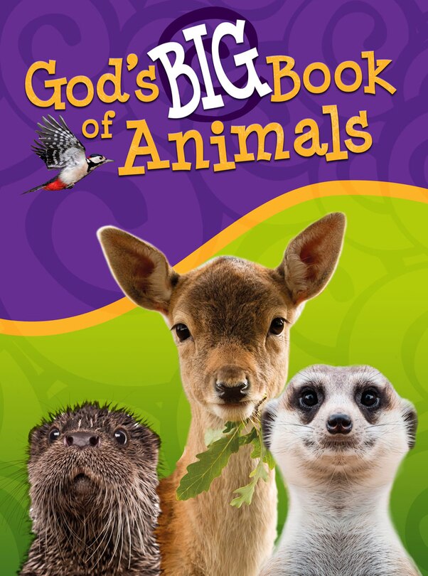 Front cover_God's Big Book Of Animals