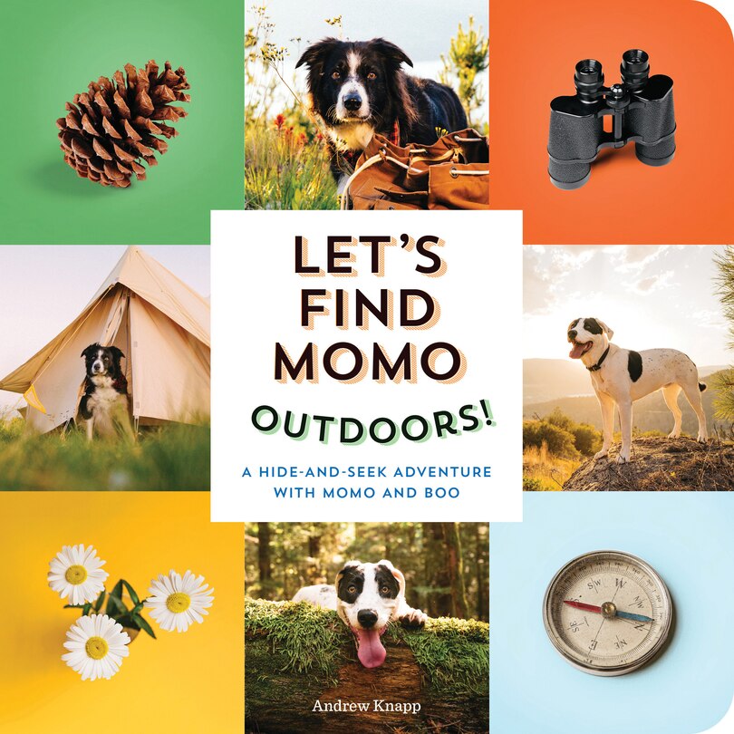 Let's Find Momo Outdoors!: A Hide-and-seek Adventure With Momo And Boo