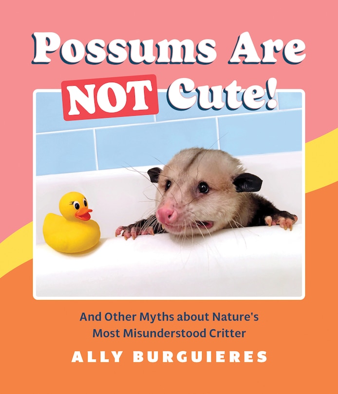 Front cover_Possums Are Not Cute!