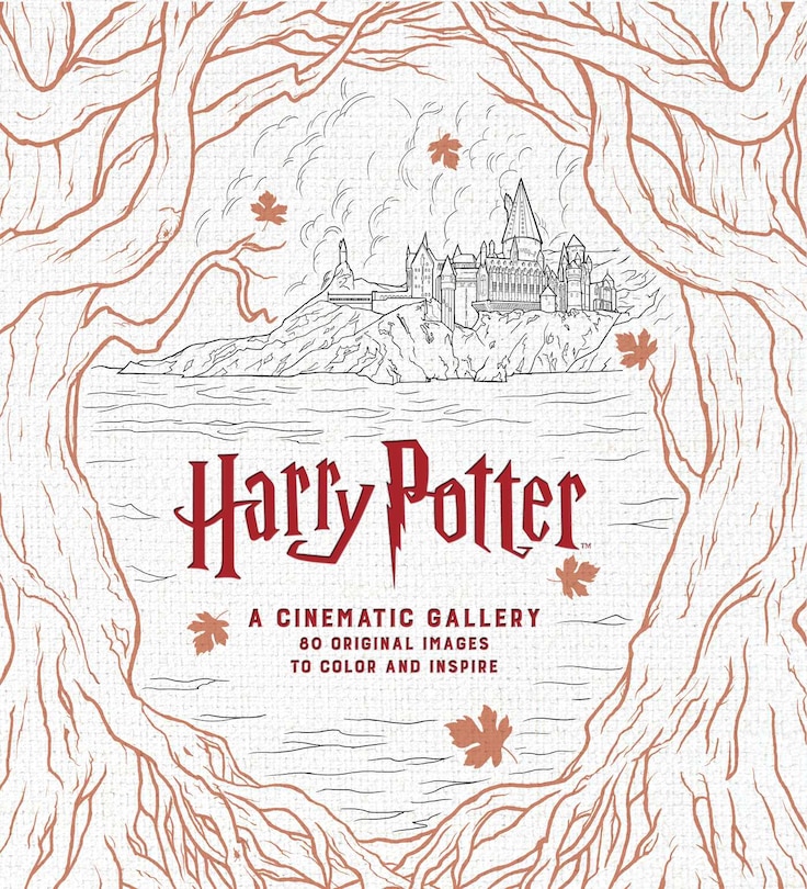 Couverture_Harry Potter: A Cinematic Gallery