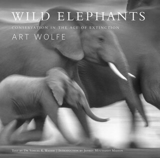 Couverture_Wild Elephants