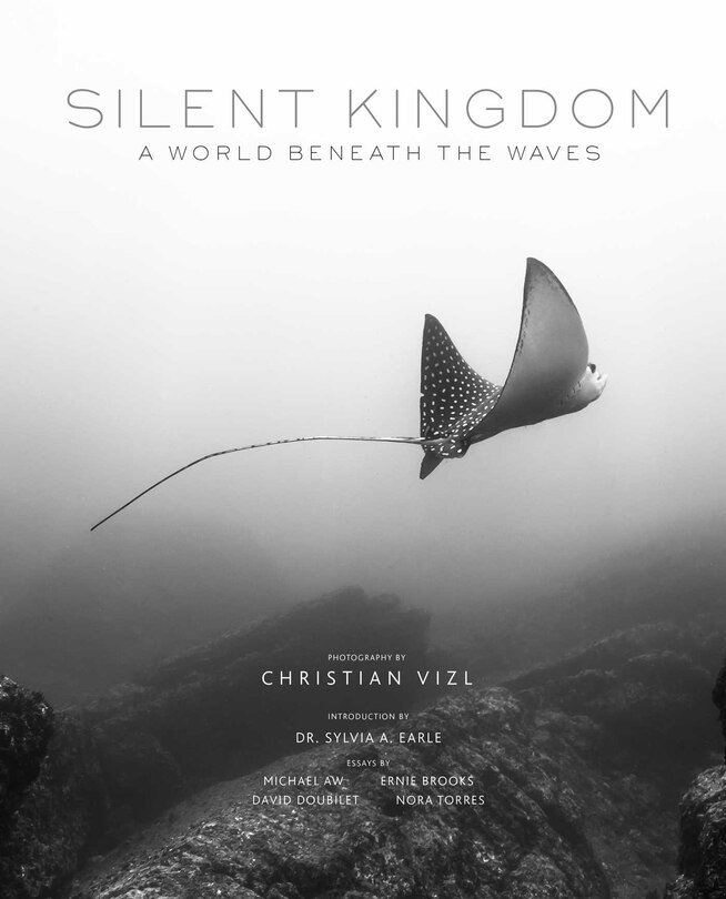 Front cover_Silent Kingdom