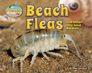 Front cover_Beach Fleas and Other Tiny Sand Animals