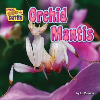Front cover_Orchid Mantis