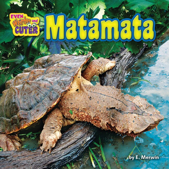Front cover_Matamata