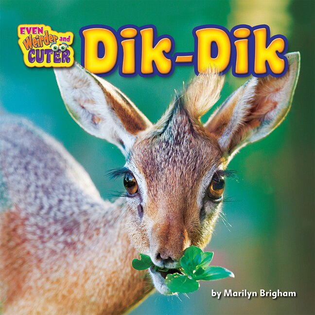 Front cover_Dik-Dik