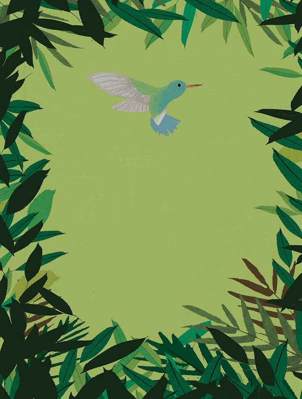 Couverture_Bird Journal