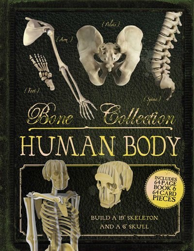 Front cover_Bone Collection: Human Body