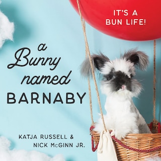 Couverture_A Bunny Named Barnaby