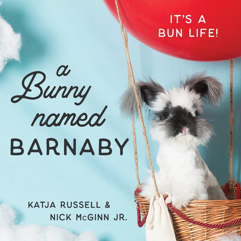 Couverture_A Bunny Named Barnaby