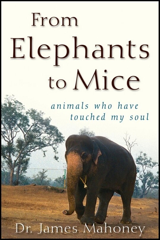 Front cover_From Elephants to Mice