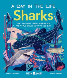 Sharks (a Day In The Life): What Do Great Whites, Hammerheads, And Whale Sharks Get Up To All Day?