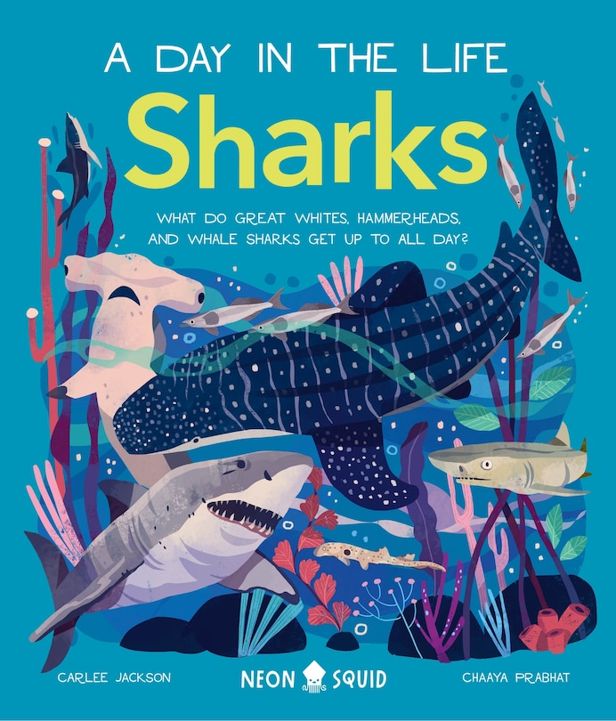Couverture_Sharks (a Day In The Life)