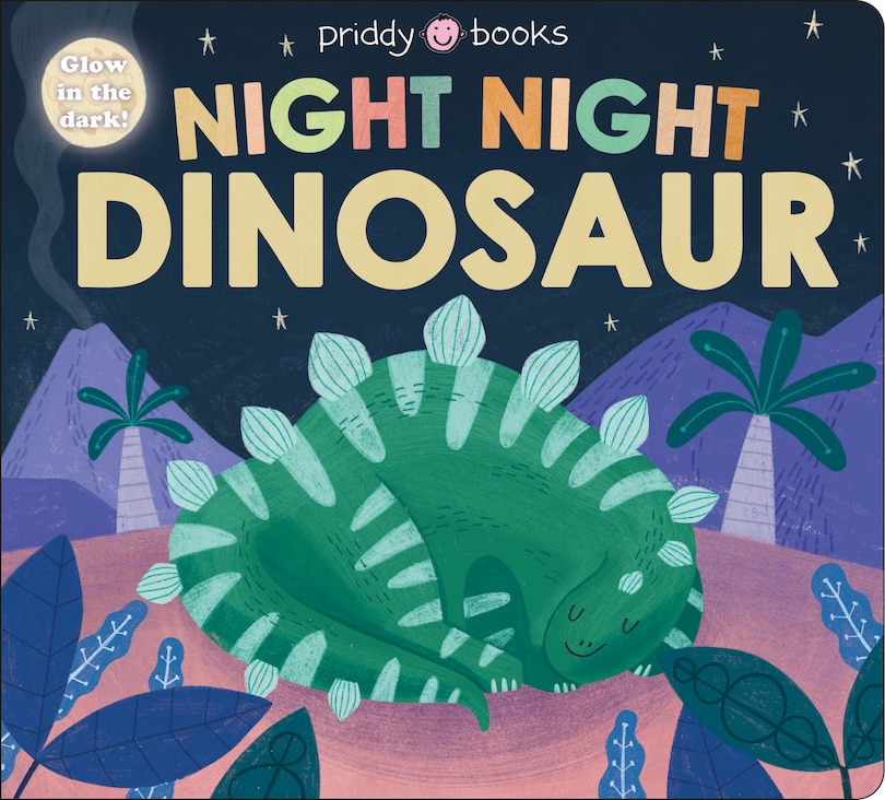 Couverture_Night Night Dinosaur (Night Night Books)