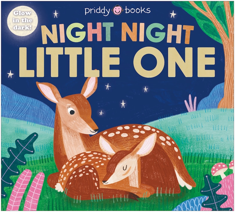 Front cover_Night Night Little One (Night Night Books)