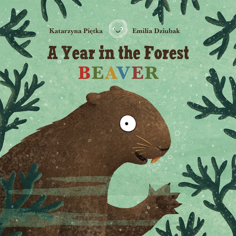 A Year in the Forest with Beaver