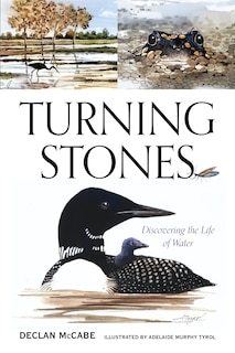 Couverture_Turning Stones