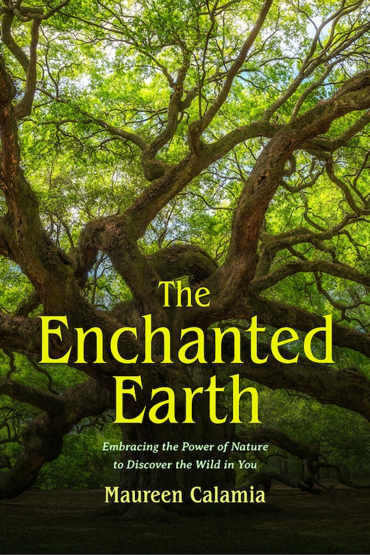 Couverture_The Enchanted Earth