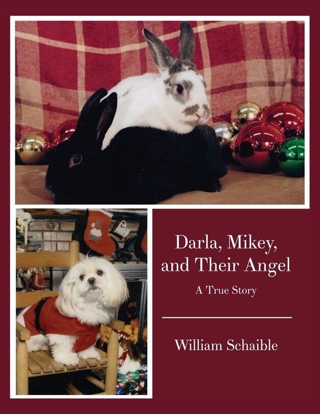 Front cover_Darla, Mikey, and Their Angel