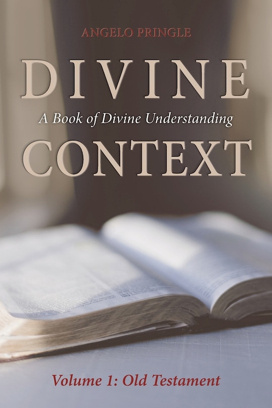 Couverture_Divine Context