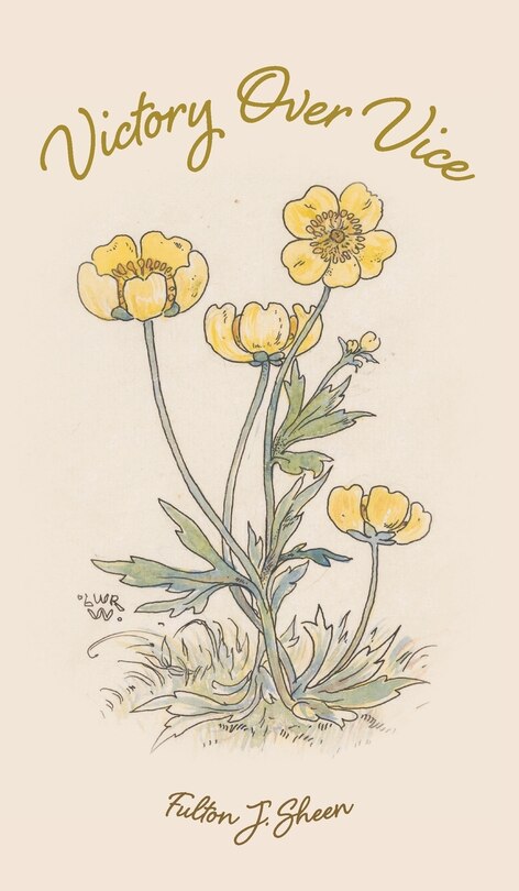 Front cover_Victory Over Vice