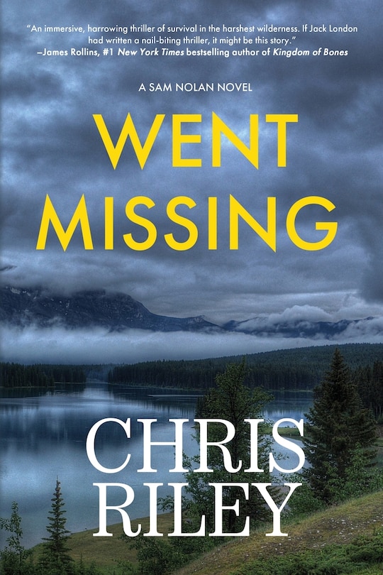 Front cover_Went Missing