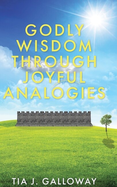 Couverture_Godly Wisdom through Joyful Analogies