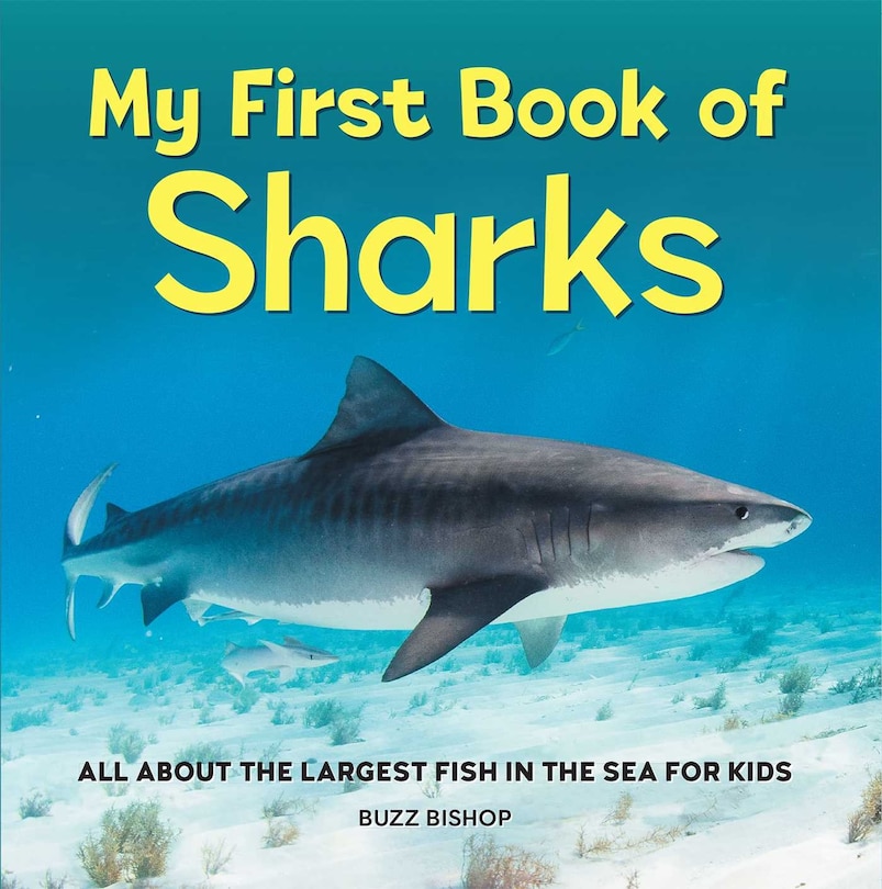 Front cover_My First Book of Sharks
