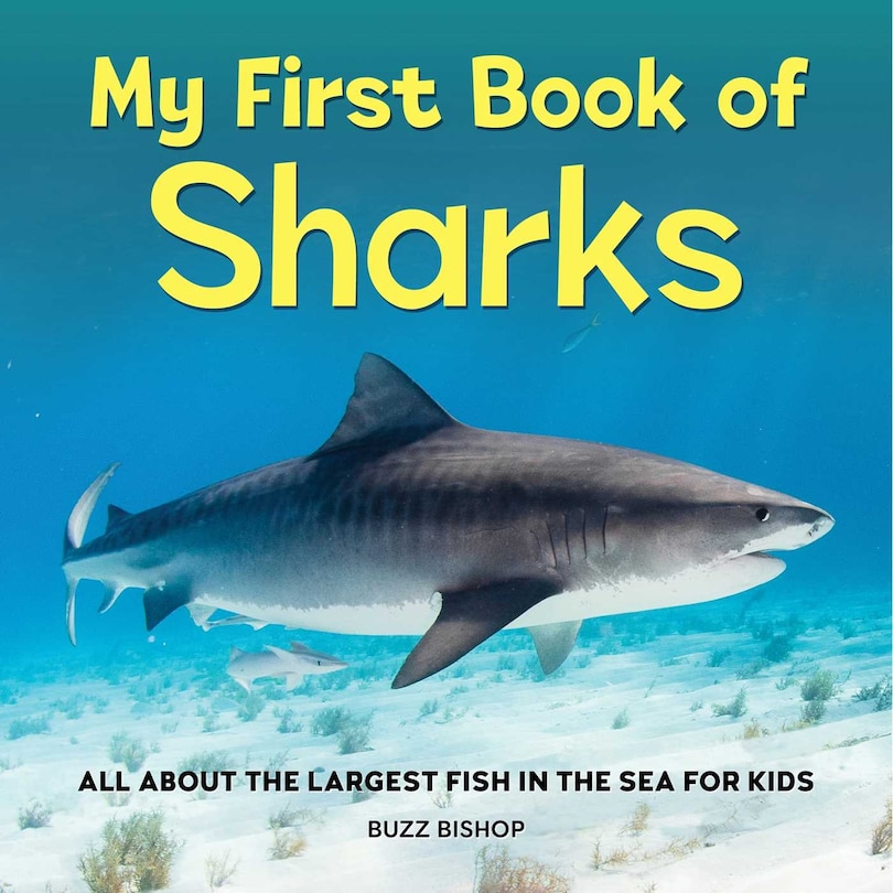 Front cover_My First Book of Sharks