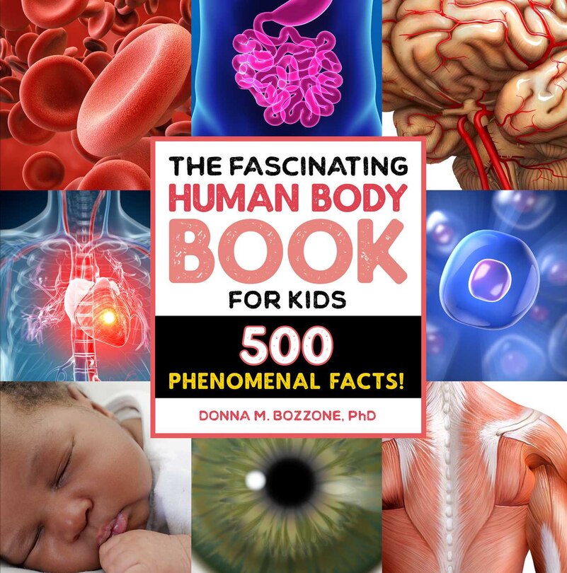Front cover_The Fascinating Human Body Book for Kids