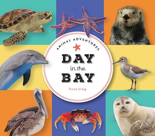 Front cover_Animal Adventures: Day in the Bay