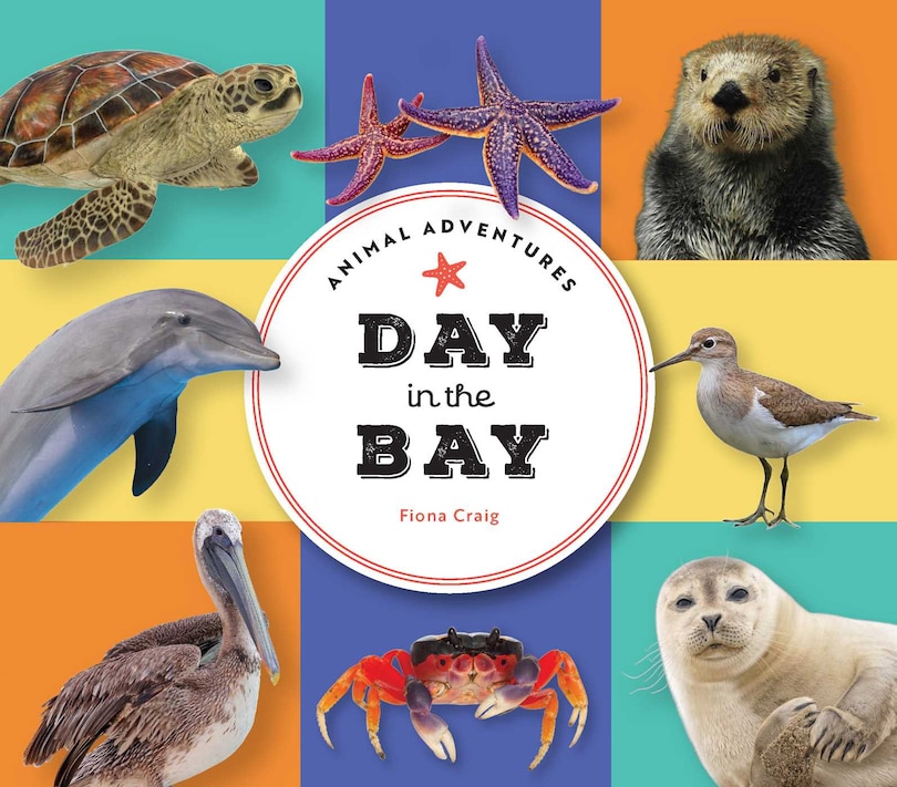 Front cover_Animal Adventures: Day in the Bay