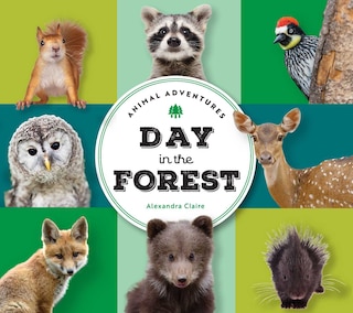 Front cover_Animal Adventures: Day in the Forest