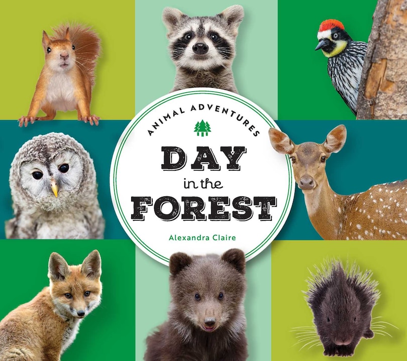 Front cover_Animal Adventures: Day in the Forest