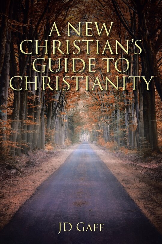 Front cover_A New Christian's Guide to Christianity