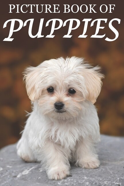 Couverture_Picture Book of Puppies