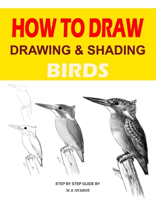 Drawing and shading Birds: How to draw