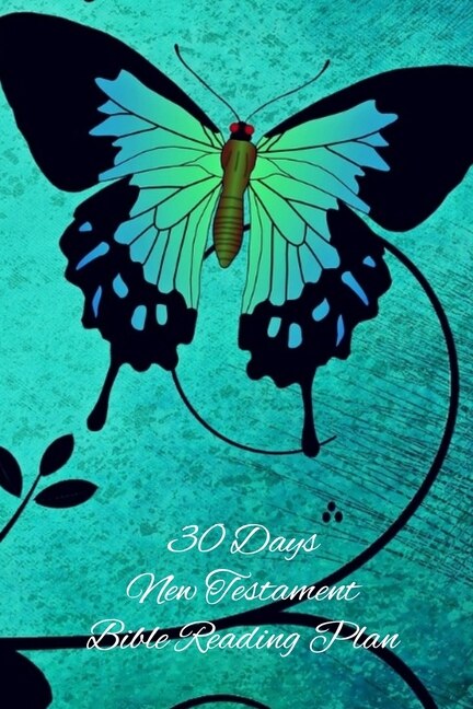 Front cover_30 Days New Testament Bible Reading Plan