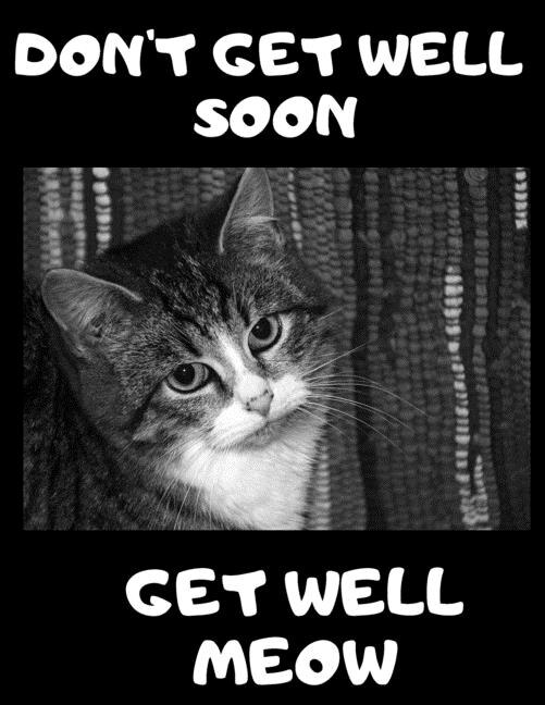 Don't Get Well Soon Get Well Meow: 100 Easy Sudoku Puzzle Large Print Book - Cute Kitten Funny Get Well Gift For Women After Surgery