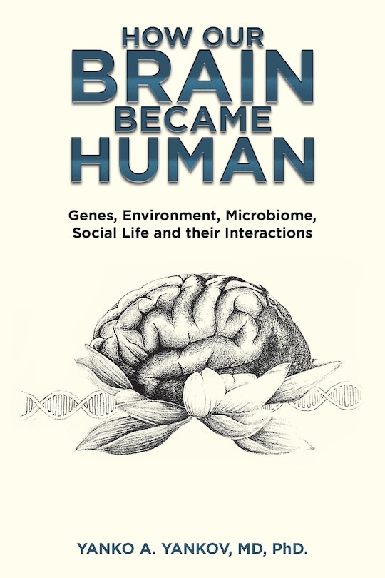 Couverture_How Our Brain Became Human