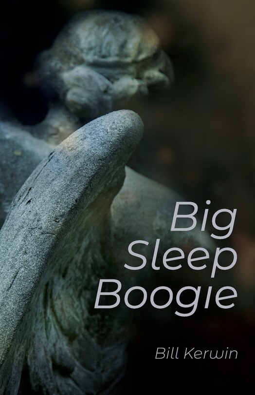 Couverture_Big Sleep Boogie