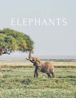 Couverture_Elephants