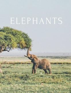 Elephants: A Decorative Book │ Perfect for Stacking on Coffee Tables & Bookshelves │ Customized Interior Design & Home Decor