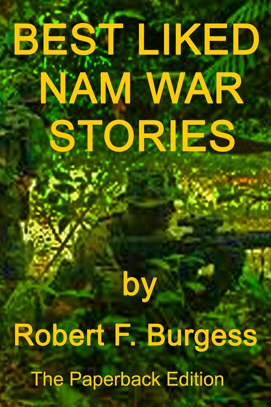 Couverture_Best Liked Nam War Stories
