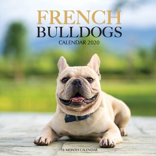 French Bulldogs Calendar 2020: 16 Month Calendar