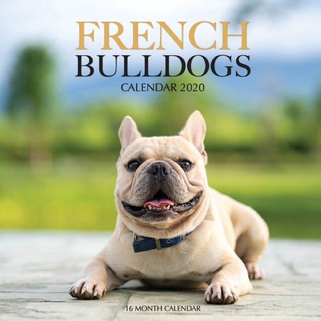 French Bulldogs Calendar 2020: 16 Month Calendar