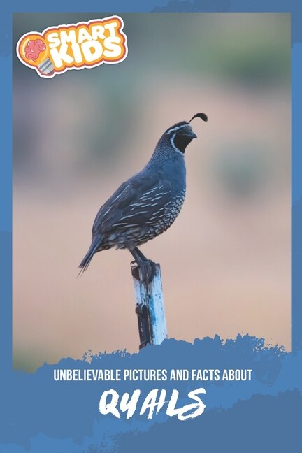 Front cover_Unbelievable Pictures and Facts About Quails