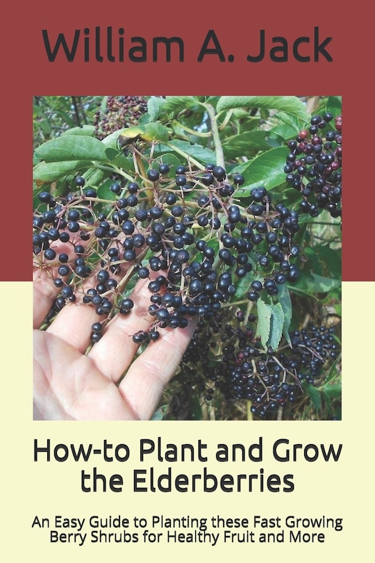 Couverture_How-to Plant and Grow the Elderberries